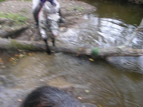 DSCN7860