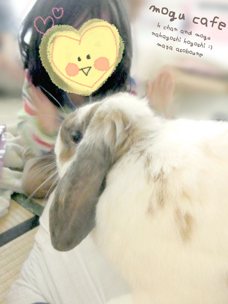 mogu424