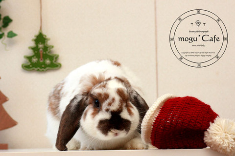mogu157