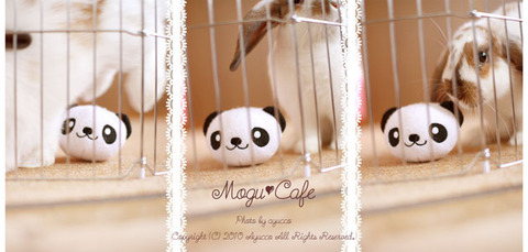 mogu11