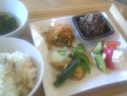 IMAG0221