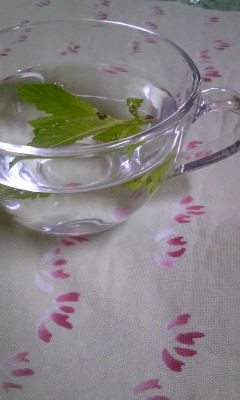100606_153056