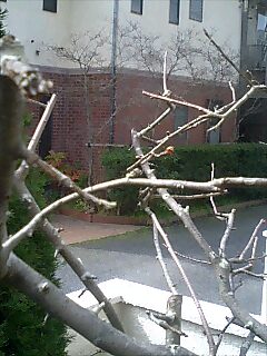 511eab20.jpg