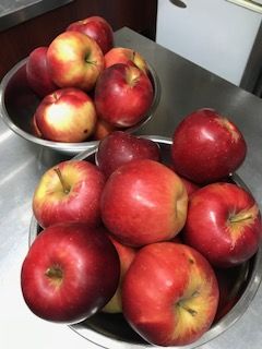 IMG_0570