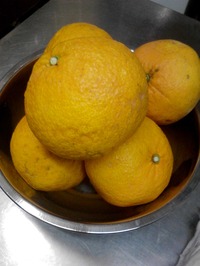 L04B0011