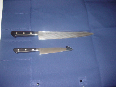 8a8fa190.jpg