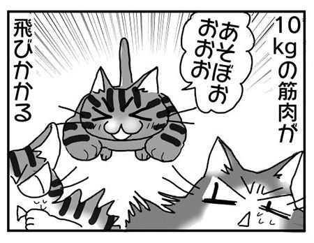 3352cb21