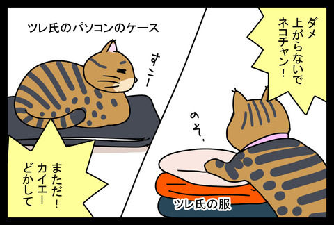 23b2db45-s