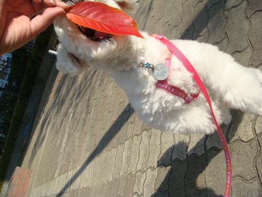 くれ!!