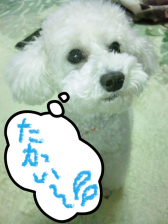 BlogPaint