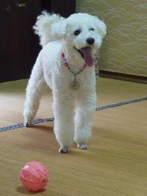 元気に