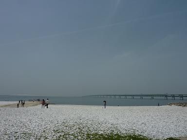 P1070820