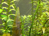 e694c761.jpg
