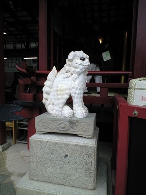 CA390014 (480x640)