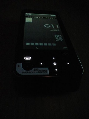CA390022 (480x640)