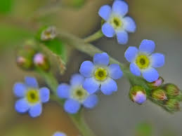 images (12)