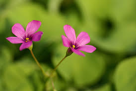 images (3)