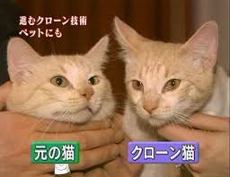 ダウンロード (1)