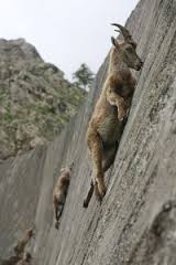images (4)