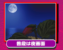 普通の時☆