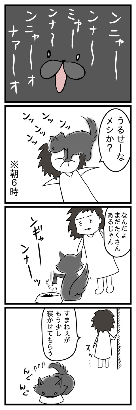朝猫1