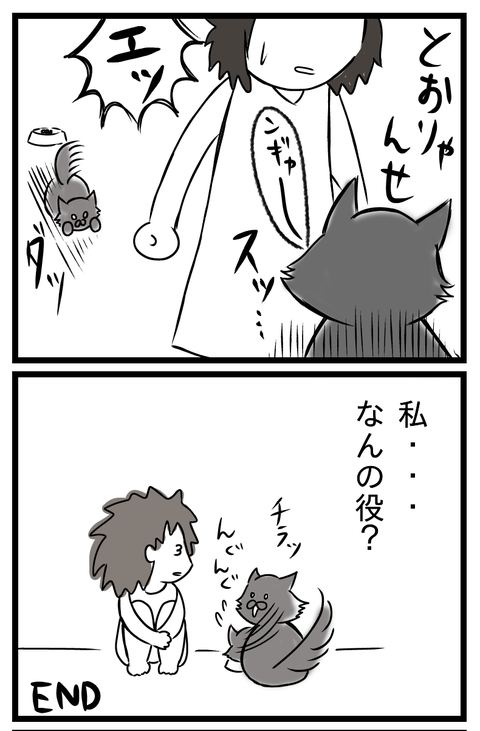 朝猫2