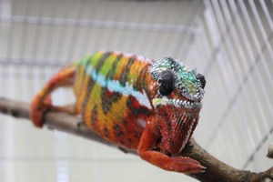 IMG_7826_ks