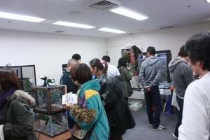 IMG_6139_ks