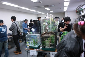 IMG_6137_ks