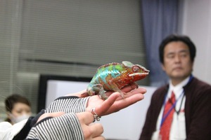 IMG_7884_ks