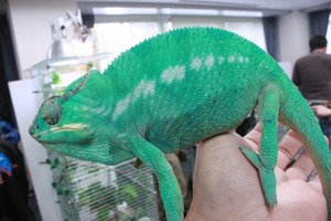 IMG_6142_ks