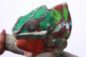 IMG_6193_ks