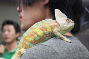 IMG_7897_ks