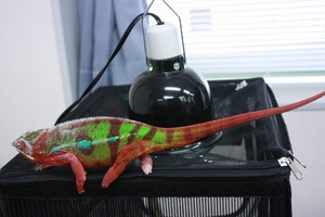 IMG_6172_ks