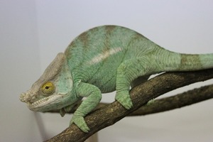 IMG_7811_ks