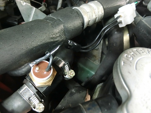 CIMG5954