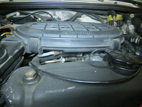 CIMG3100