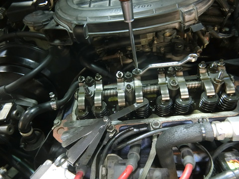 CIMG6353