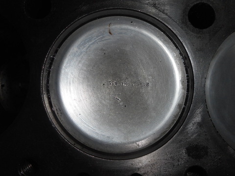 DSCN6184