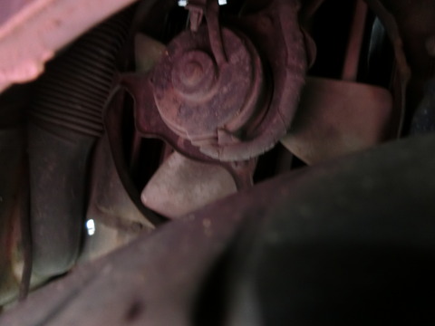 CIMG2142