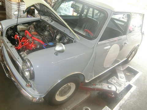 CIMG6300