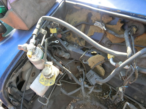 CIMG1259