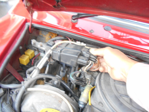 DSCN7090