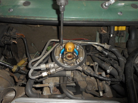 DSCN6279