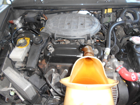DSCN5461