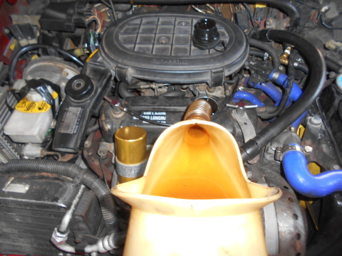 DSCN7845