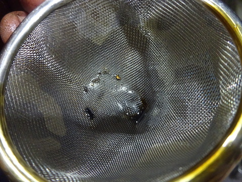 DSC02964