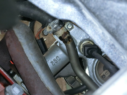CIMG7846