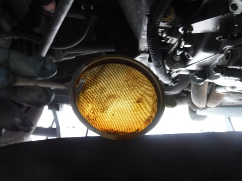 DSCF6981