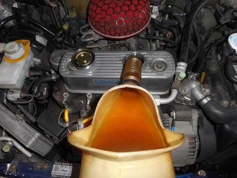 DSCN6564